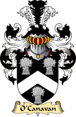 Irish Family Coat of Arms (v.23) for O'Canavan