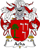 Spanish Coat of Arms for Acha I