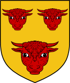 English Family Shield for Bull