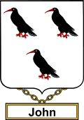 English Coat of Arms Shield Badge for John or Johns