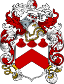 English or Welsh Coat of Arms for Levins (Cambridgeshire)