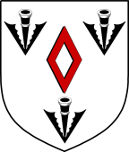 Irish Family Shield for Carden (Tipperary)