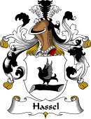 German Wappen Coat of Arms for Hassel