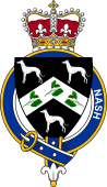 Families of Britain Coat of Arms Badge for: Nash (England)