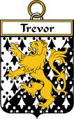 Irish Badge for Trevor