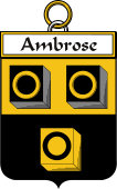 Irish Badge for Ambrose