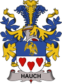 Coat of arms used by the Danish family Hauch