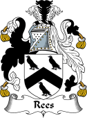 English Coat of Arms for the family Rees or Rhys, or Rice