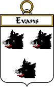 Irish Badge for Evans