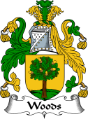 Irish Coat of Arms for Woods