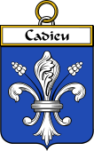 French Coat of Arms Badge for Cadieu or Cadiou