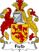 Irish Coat of Arms for Field