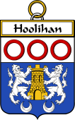 Irish Badge for Hoolihan or O'Holohan