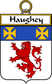 Irish Badge for Haughey or O'Haffey