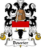 Coat of Arms from France for Bouvier