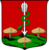 Polish Family Shield for Baybuza