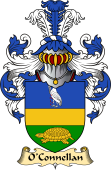 Irish Family Coat of Arms (v.23) for O'Connellan