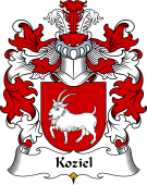 Polish Coat of Arms for Koziel