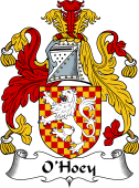 Irish Coat of Arms for O'Hoey