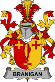 Irish Coat of Arms for Branigan or O'Branagan