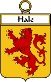 Irish Badge for Hale or McHale