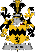 Irish Coat of Arms for Morris