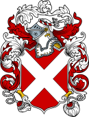 English or Welsh Coat of Arms for Nevill
