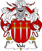 Portuguese Coat of Arms for Vale