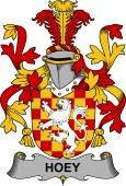 Irish Coat of Arms for Hoey or O'Hoey
