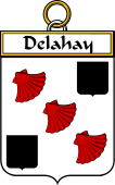 Irish Badge for Delahay
