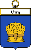 French Coat of Arms Badge for Guy