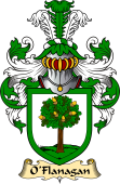 Irish Family Coat of Arms (v.23) for O'Flanagan