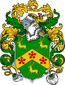 English or Welsh Coat of Arms for Robinson