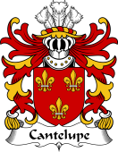 Welsh Coat of Arms for Cantelupe (Lord of Abergavenny)