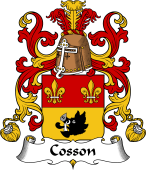 Coat of Arms from France for Cosson