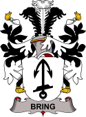 Swedish Coat of Arms for Bring