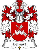 Polish Coat of Arms for Bejnart