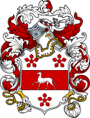 English or Welsh Coat of Arms for Albany (London, Salop, and Bedfordshire)