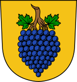 Swiss Coat of Arms for Zollner