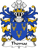 Welsh Coat of Arms for Thomas (AP DAFYDD AP GRUFFUDD)