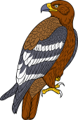 Birds of Prey Clipart image: Steppe Eagle