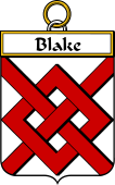 Irish Badge for Blake