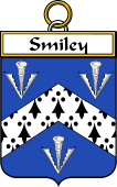 Irish Badge for Smiley  or Smyly