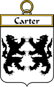 Irish Badge for Carter