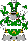 Irish Coat of Arms for Weld