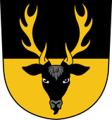 Swiss Coat of Arms for Huntzickon