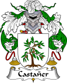 Spanish Coat of Arms for Castañer