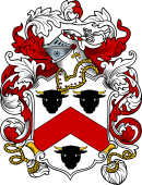 English or Welsh Coat of Arms for Bullen