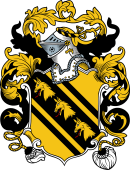 English or Welsh Coat of Arms for Lowe