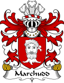 Welsh Coat of Arms for Marchudd (AP CYNAN)